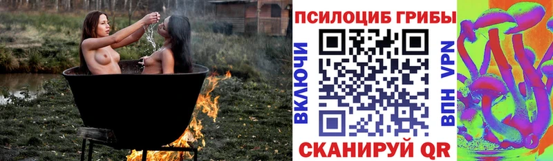 Галлюциногенные грибы GOLDEN TEACHER  наркота  Белорецк 