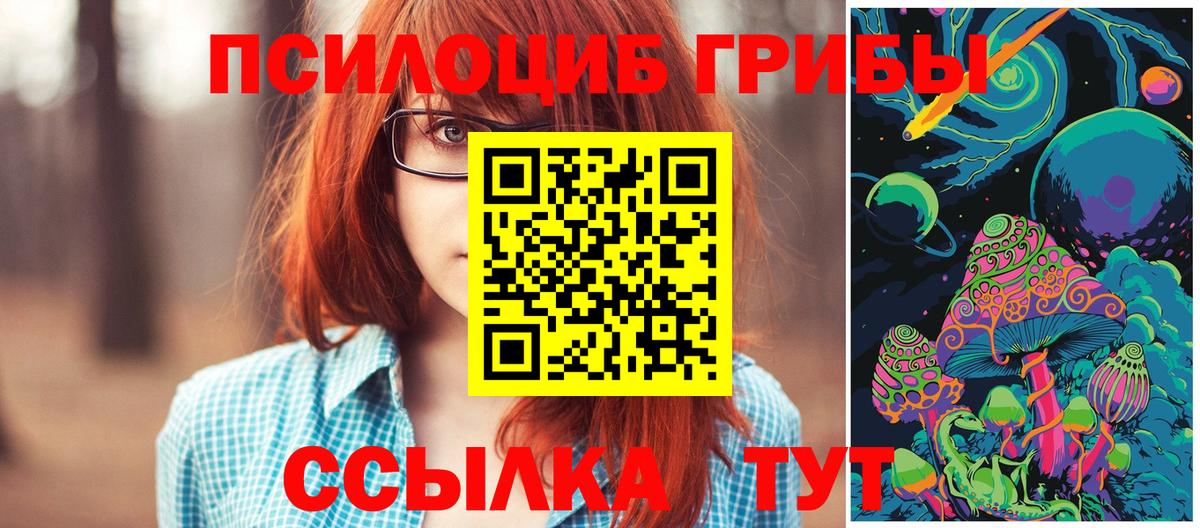 Псилоцибиновые грибы мухоморы  Вход с VPN  Псилоцибиновые грибы мухоморы  Белорецк 