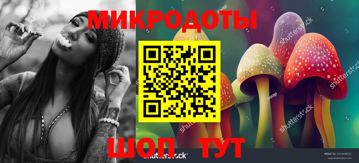 Псилоцибиновые грибы мицелий Белорецк